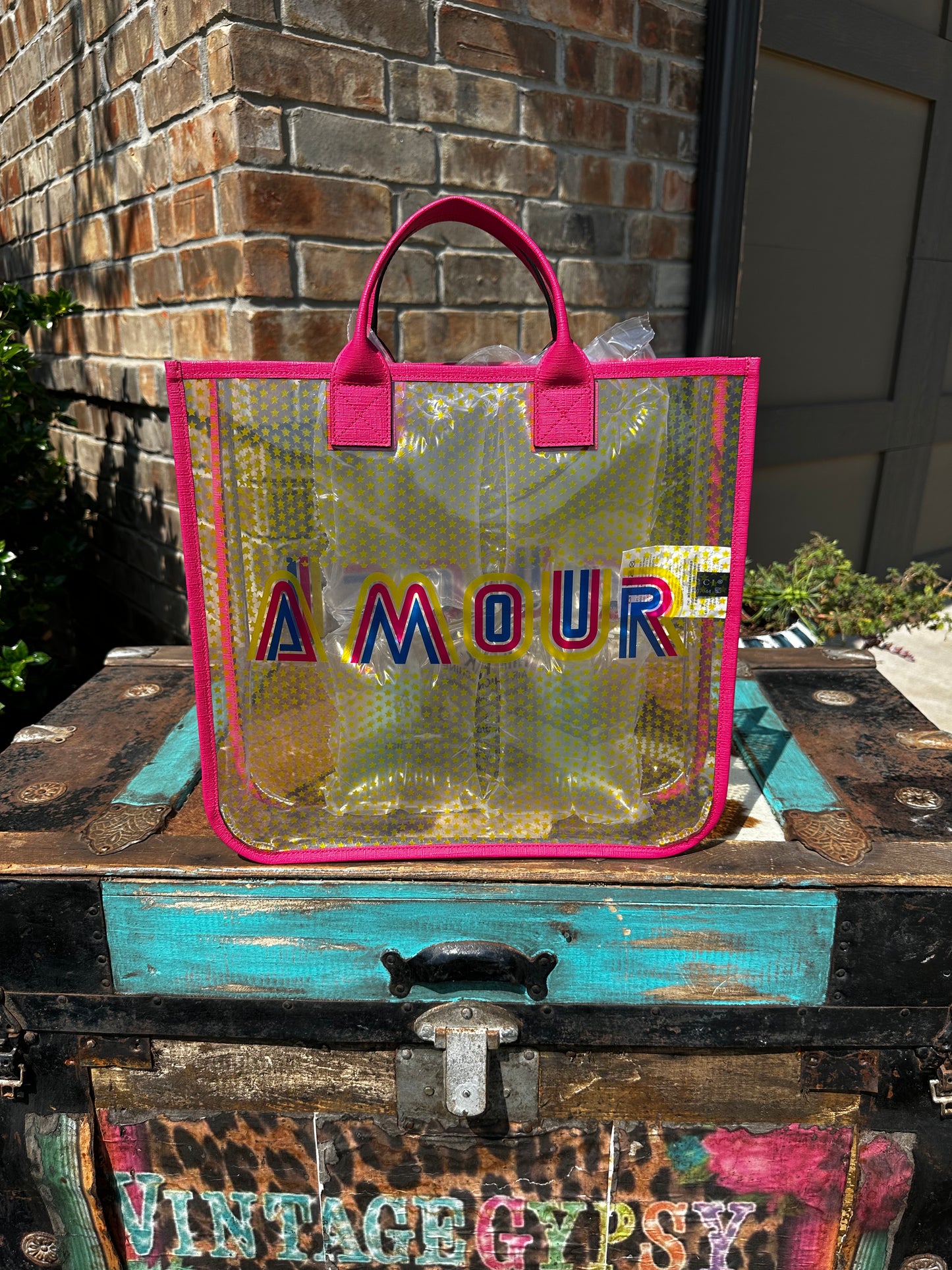 Limited Edition transparent GG bag!
