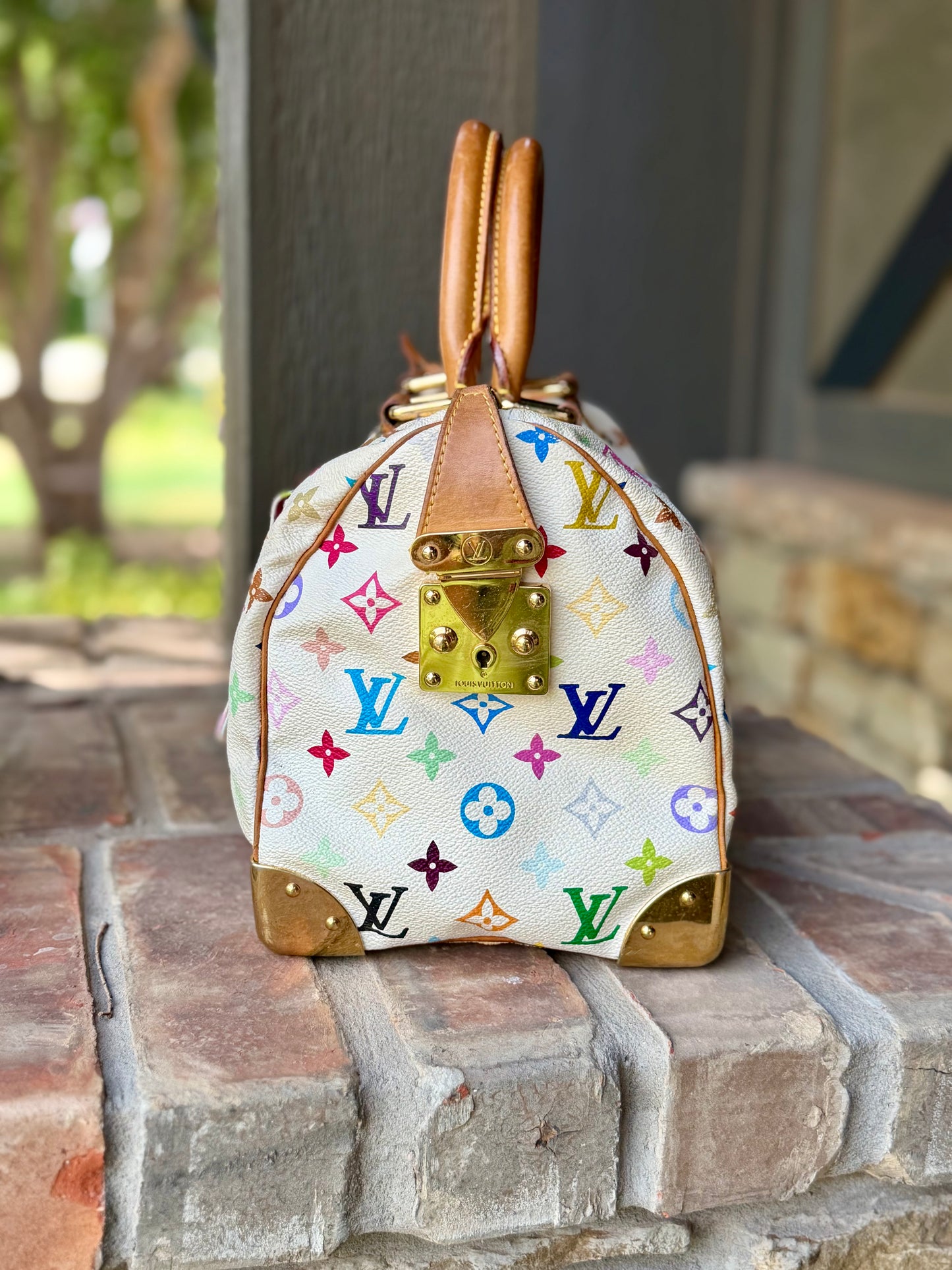 Multicolor Murakami Speedy 30 🌈🦄