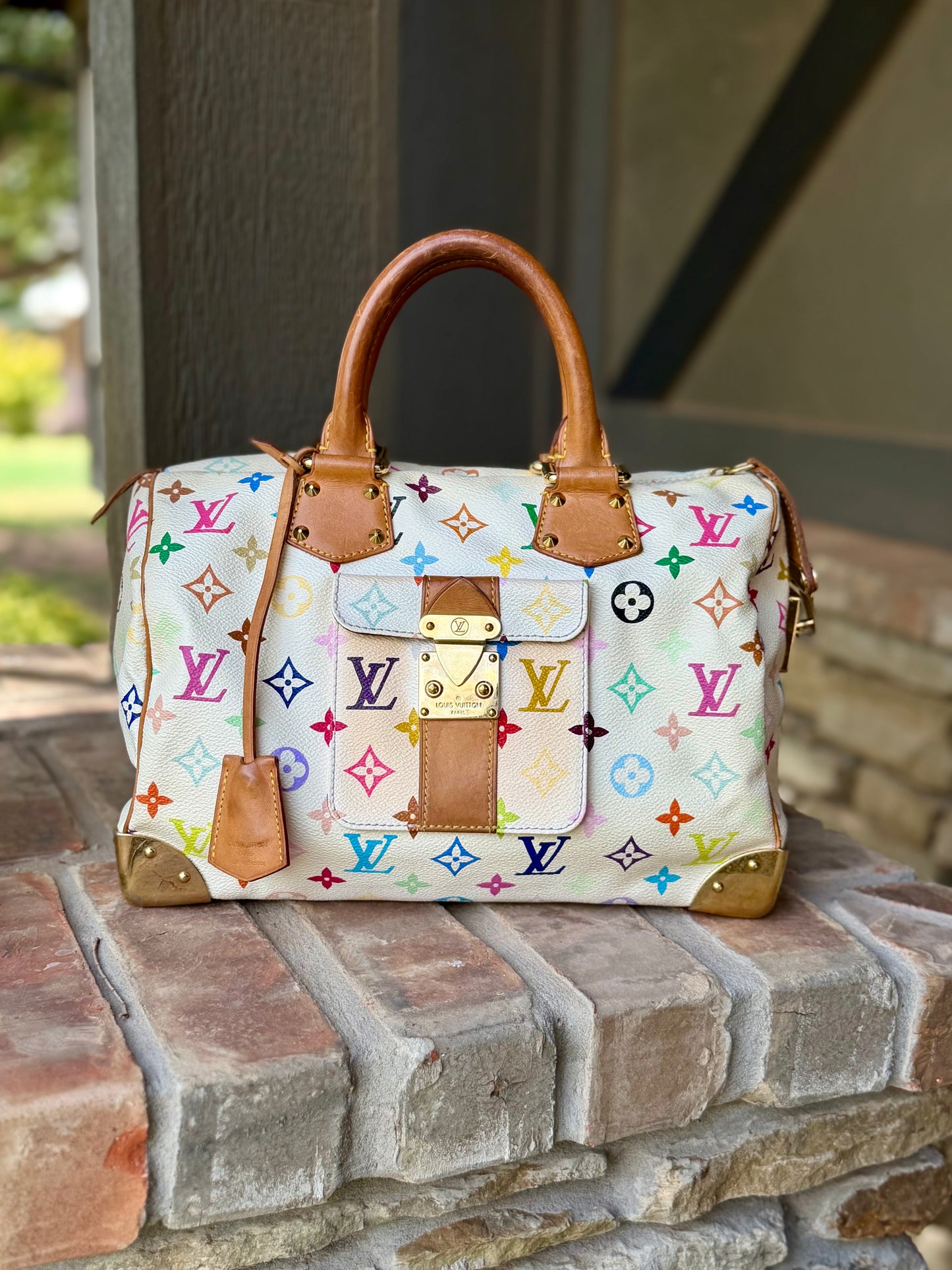 Multicolor Murakami Speedy 30 🌈🦄