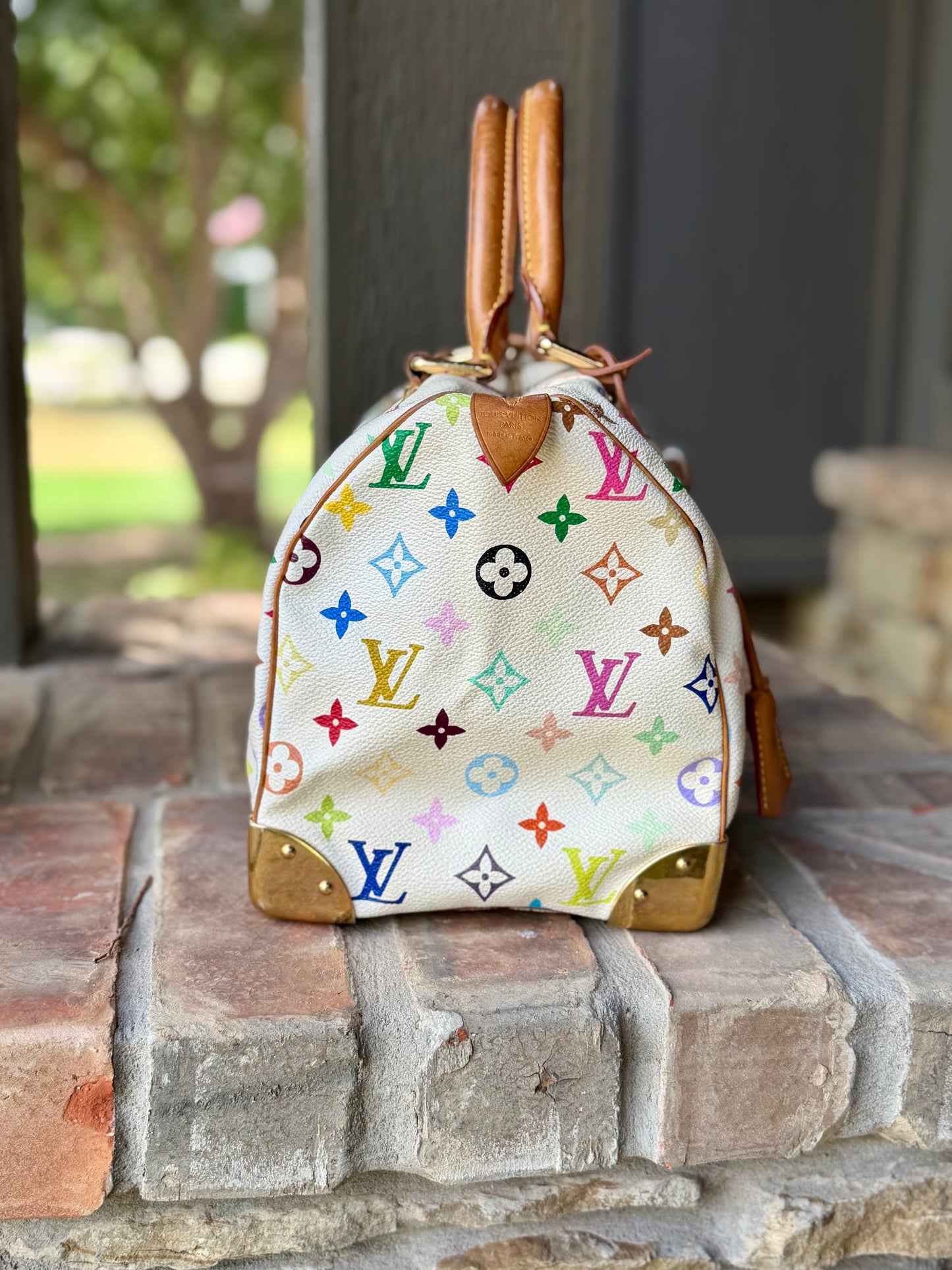 Multicolor Murakami Speedy 30 🌈🦄
