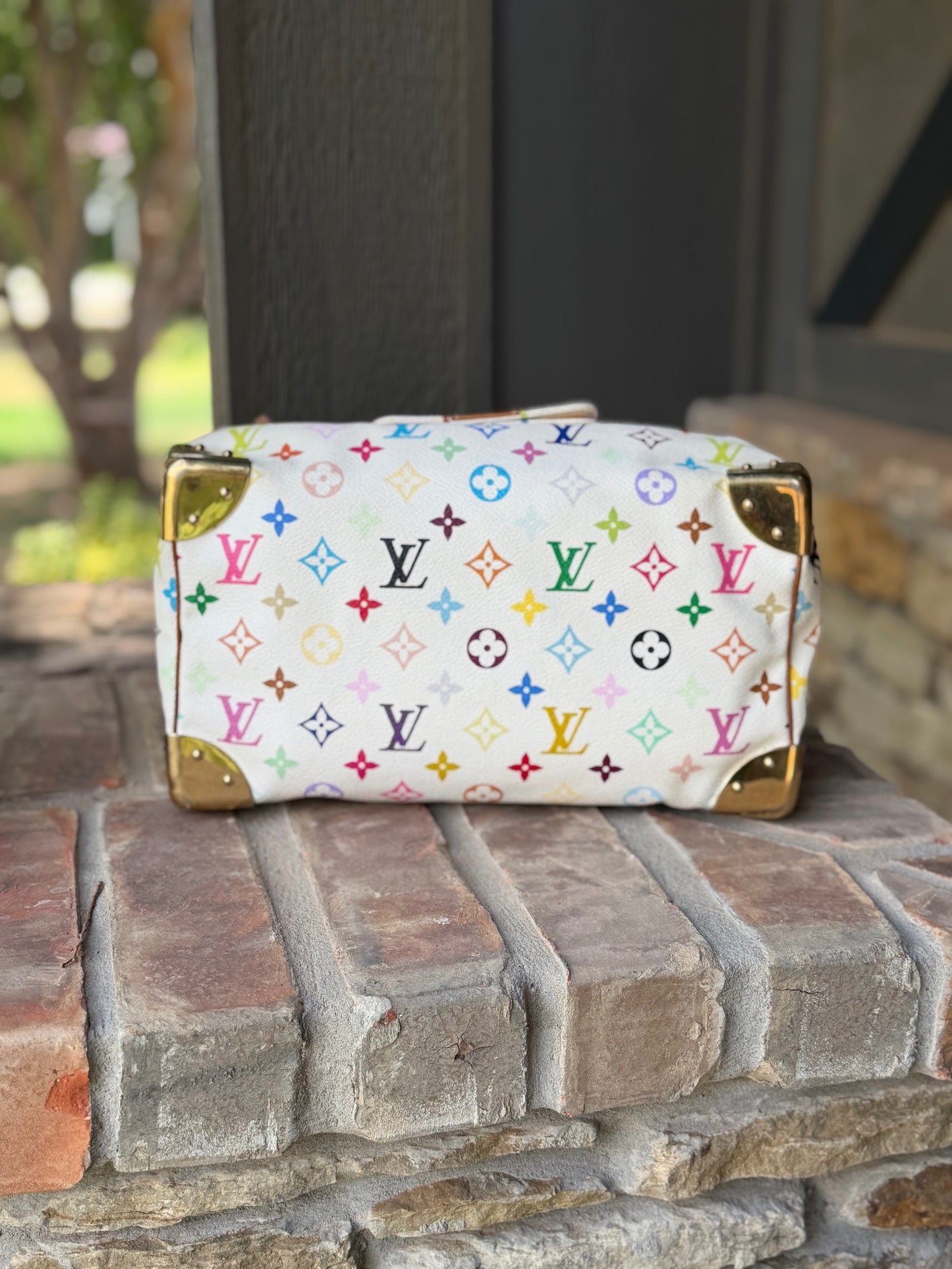 Multicolor Murakami Speedy 30 🌈🦄